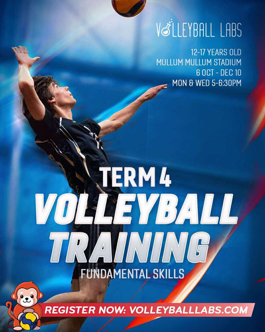 Term 4 Program - 2025